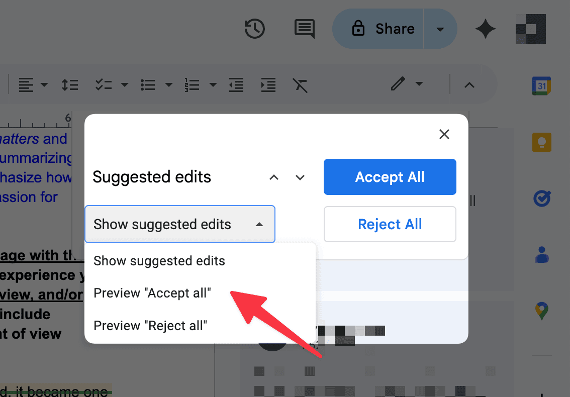 Google Docs Preview Accept All